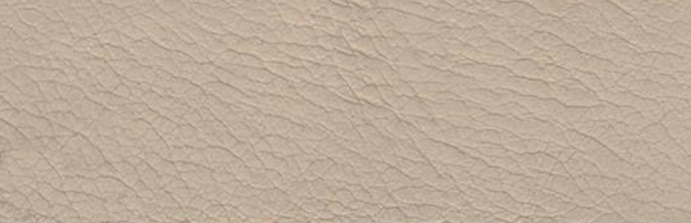 C03 Beige